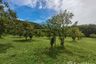 Land for sale in Mae Nam, Surat Thani