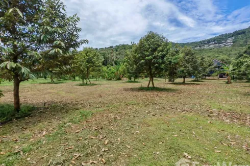 Land for sale in Mae Nam, Surat Thani