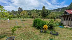 Land for sale in Mae Nam, Surat Thani