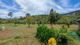 Land for sale in Mae Nam, Surat Thani