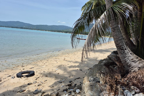 Land for sale in Lipa Noi, Surat Thani