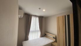 1 Bedroom Condo for rent in The Tree Onnut Station, Bang Chak, Bangkok near BTS On Nut