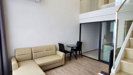 1 Bedroom Condo for rent in The Tree Pattanakarn - Ekkamai, Suan Luang, Bangkok near Airport Rail Link Ramkhamhaeng