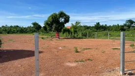 Land for sale in Nong Pling, Kamphaeng Phet