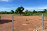 Land for sale in Nong Pling, Kamphaeng Phet