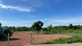 Land for sale in Nong Pling, Kamphaeng Phet