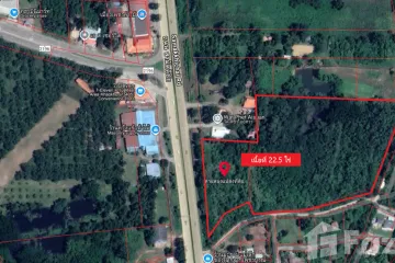 Land for sale in Na Ngua, Phetchabun
