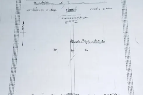 Land for sale in Bueng Kham Phroi, Pathum Thani