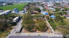 Land for sale in Tha Sala, Chiang Mai