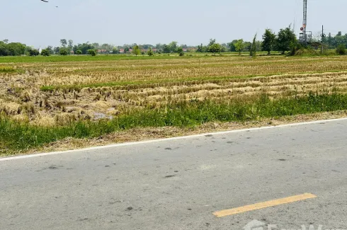 Land for sale in Samran Rat, Chiang Mai