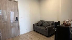 1 Bedroom Condo for rent in The Tree Pattanakarn - Ekkamai, Suan Luang, Bangkok near Airport Rail Link Ramkhamhaeng