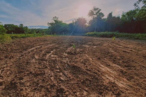 Land for sale in Ratsada, Phuket