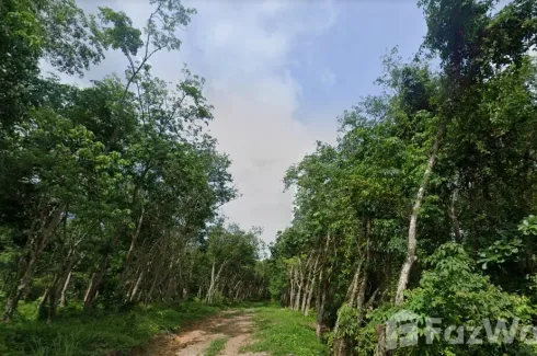 Land for sale in Choeng Thale, Phuket