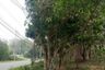 Land for sale in Sop Poeng, Chiang Mai