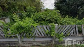 Land for sale in San Sai Luang, Chiang Mai