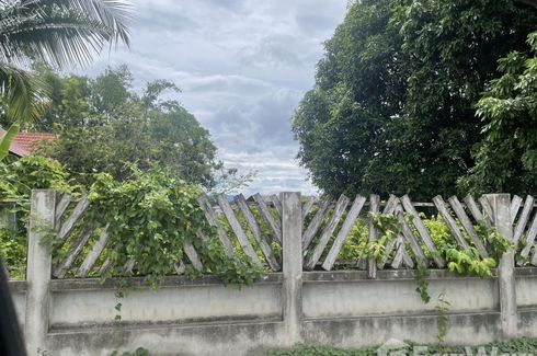 Land for sale in San Sai Luang, Chiang Mai