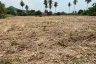 Land for sale in Samnak Thon, Rayong
