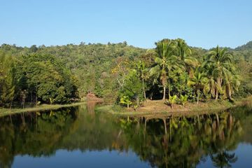 Land for sale in Hin Dat, Kanchanaburi