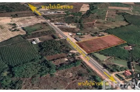 Land for sale in Khok Ngam, Loei