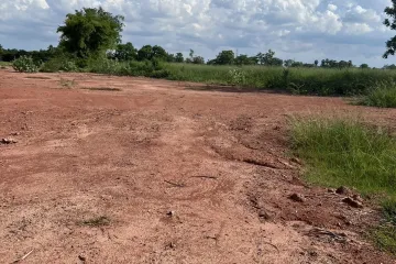 Land for sale in Cho Ho, Nakhon Ratchasima