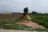Land for sale in Nong Ya Sai, Suphan Buri