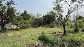 Land for sale in Chanuman, Amnat Charoen