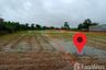 Land for sale in Sam Yaek, Yasothon