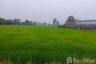 Land for sale in Sam Yaek, Yasothon