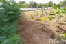 Land for sale in Non Thai, Nakhon Ratchasima