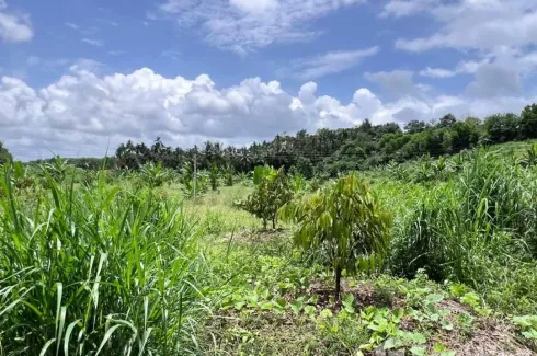 Land for sale in Nong Bon, Trat