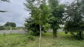 Land for sale in Rang Bua, Ratchaburi