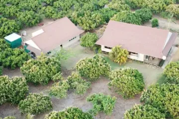 2 Bedroom House for sale in Khuean Phak, Chiang Mai