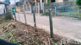 Land for sale in Wiang, Chiang Rai