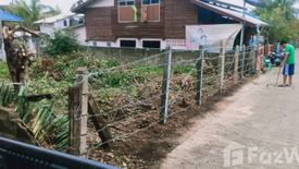 Land for sale in Wiang, Chiang Rai