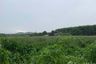 Land for sale in Khao Saming, Trat