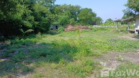 Land for sale in Nong Ri, Chonburi