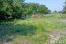 Land for sale in Nong Ri, Chonburi
