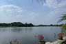 Land for sale in Bang Yang, Samut Sakhon