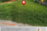 Land for sale in Mueang Kao, Saraburi