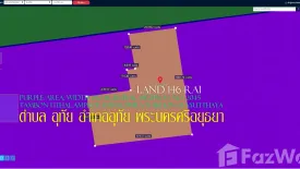 Land for sale in Thanu, Phra Nakhon Si Ayutthaya