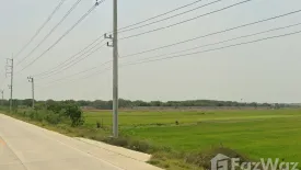 Land for sale in Thanu, Phra Nakhon Si Ayutthaya