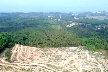 Land for sale in Bang Muang, Phang Nga