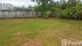 Land for sale in Phe, Rayong