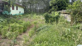 Land for sale in Mae Khari, Phatthalung