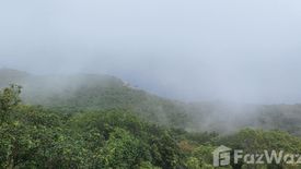 Land for sale in Ko Tao, Surat Thani