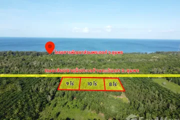 Land for sale in Pak Khlong, Chumphon