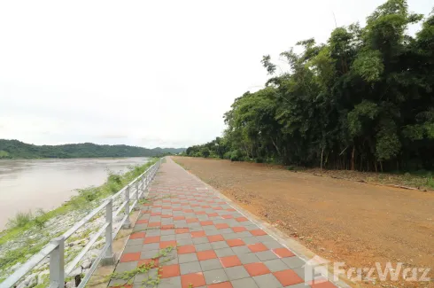Land for sale in Bu Hom, Loei