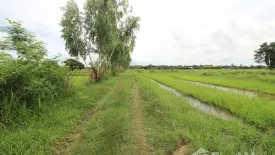 Land for sale in Ban Tat, Udon Thani