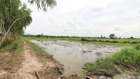 Land for sale in Ban Tat, Udon Thani