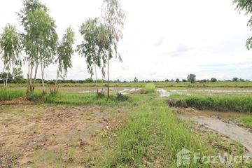 Land for sale in Ban Tat, Udon Thani